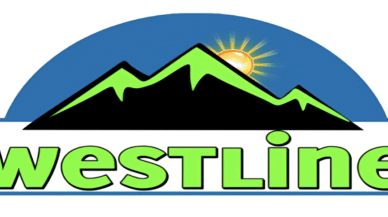 logo1
